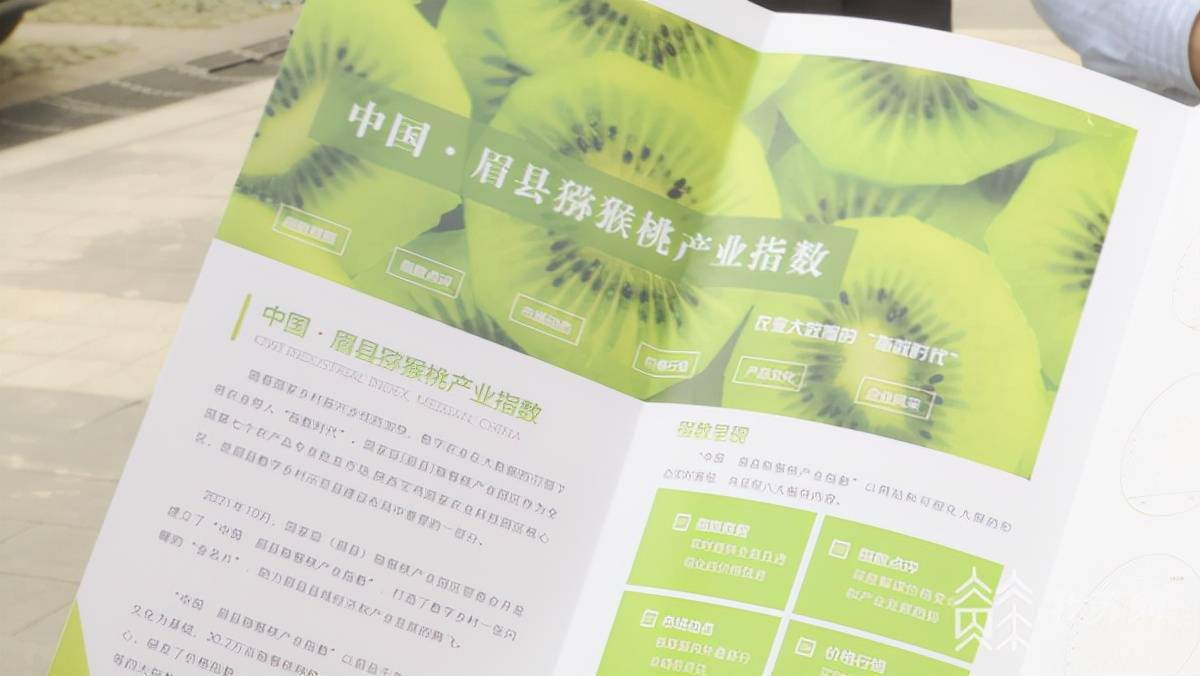 “数字乡村建设研讨会”在南京举行！数字技术让乡村“智变”网红