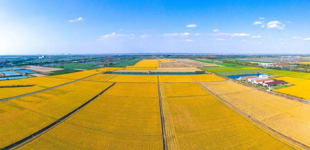 大美钱塘围垦风光摄影比赛结果出炉啦