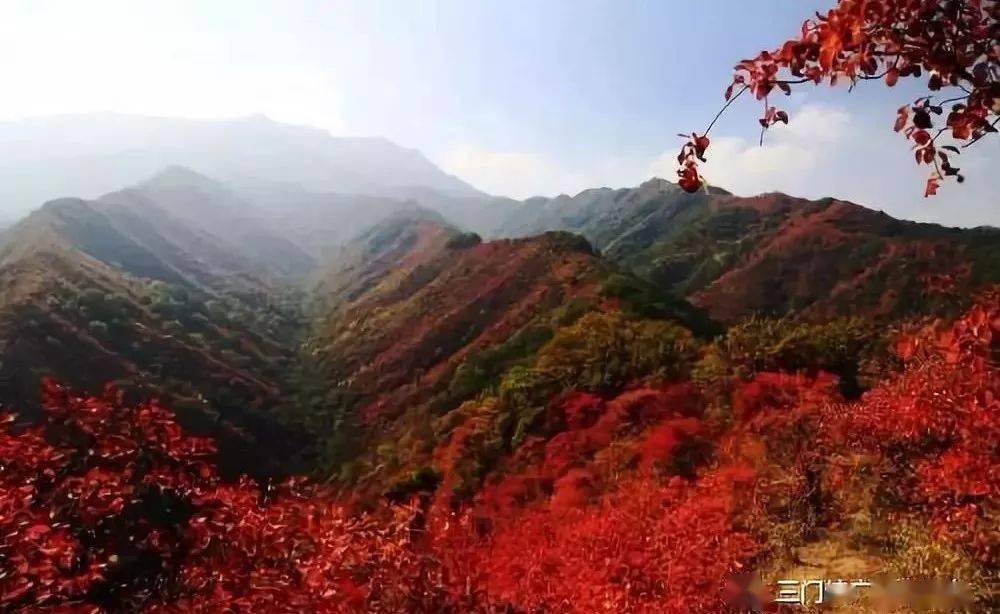 甘山国家森林公园开园啦 看红叶去 景区