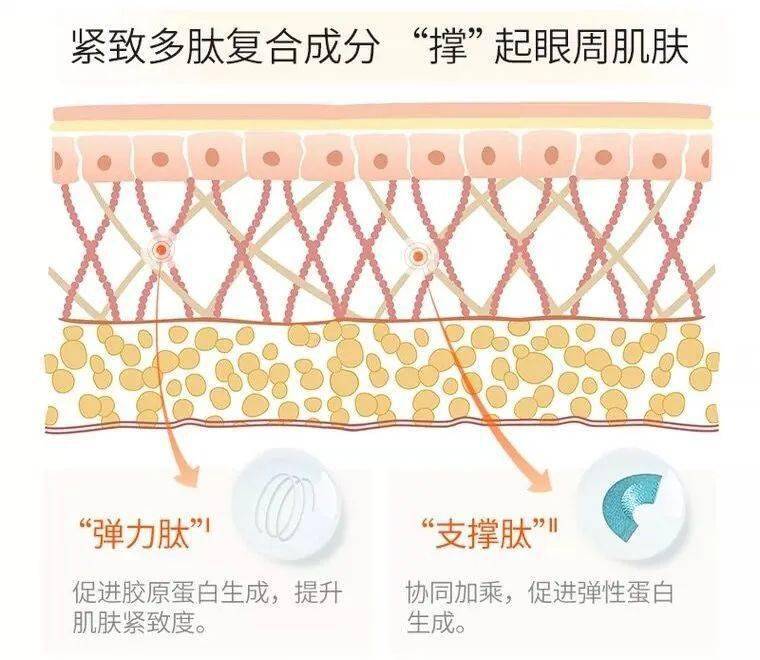兰蔻开箱 | 差点错过！这些新品现在囤最划算！