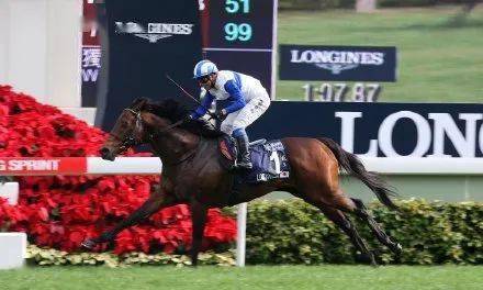 白马|世界最强，马中妲己！日本一本白马写真力压明星夺得销售榜第三名？看完后我理解了…