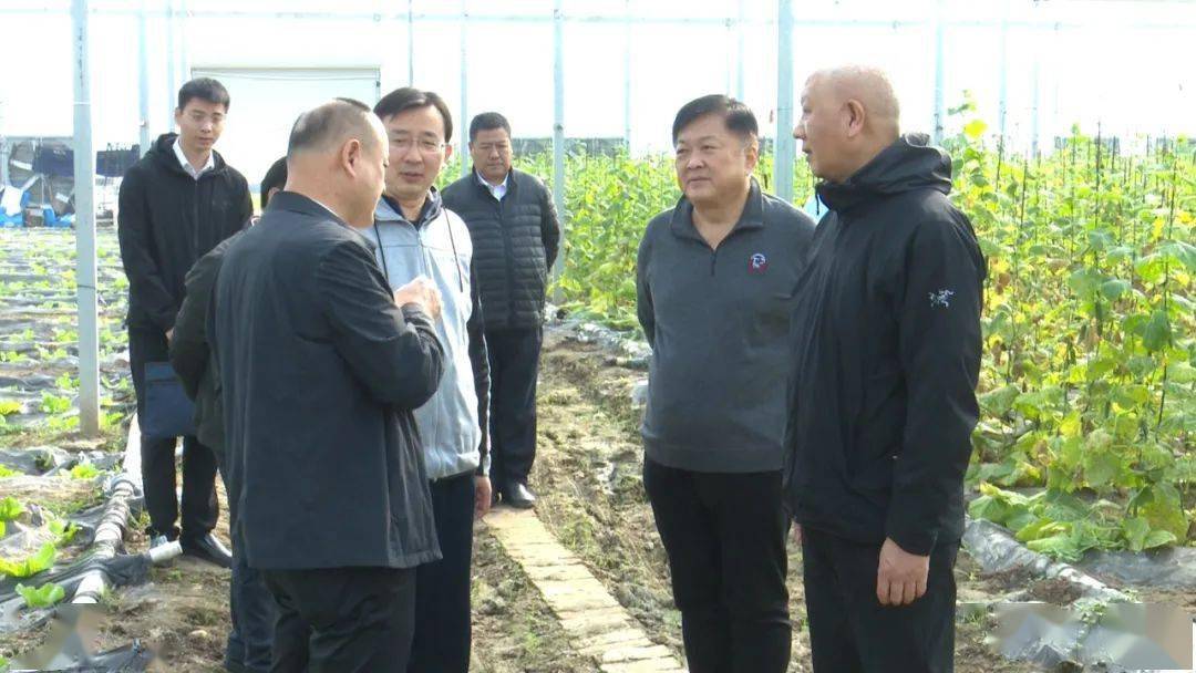 中办机关服务局来莘县调研