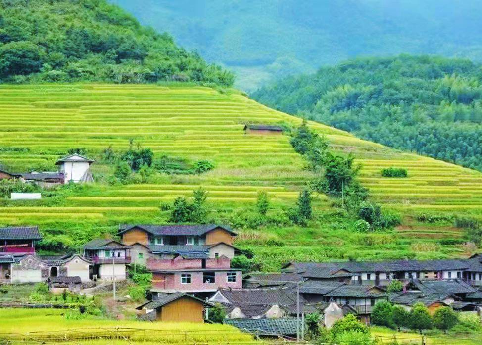 青松屹立深山处漳平市拱桥镇岩高高山基点村简史