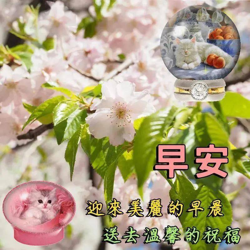 最新早上好祝福語漂亮圖片表情包問候大家早上好天冷了加衣了保重身體