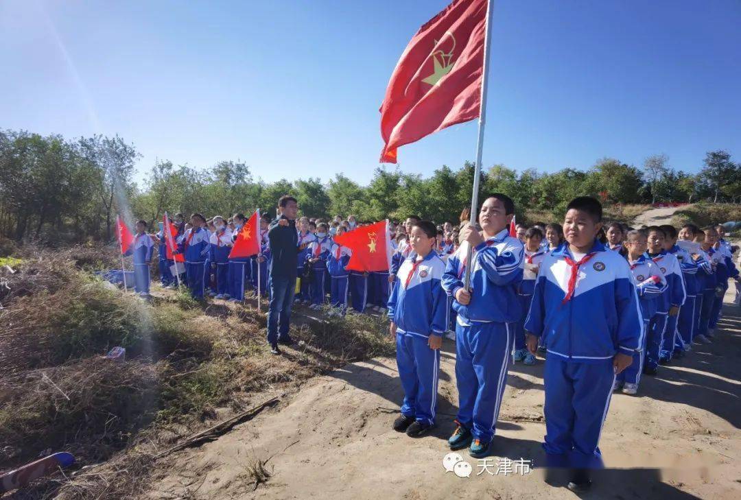 书香颂百年永远跟党走团泊小学开展让诗意栖息校园让诗韵铺洒团泊诗意