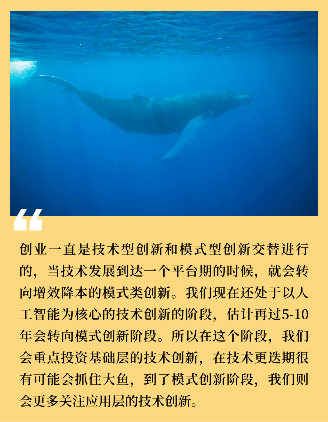 揭秘天使投资高成功率的“财富密码”：出手两年半三分之一的项目成为潜在独角兽、一半项目谈球吧体育获后续融资——基石天使基金是如何养成的？(图3)