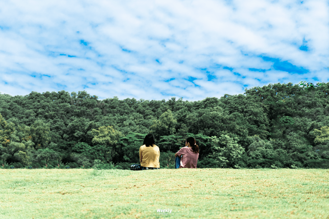 红花山|深圳秋天必逛的公园，美如童话！