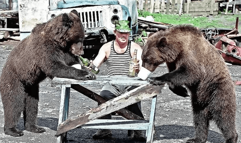 拳击手被熊袭击,重伤昏迷!聊聊俄罗斯人和熊的爱恨情仇