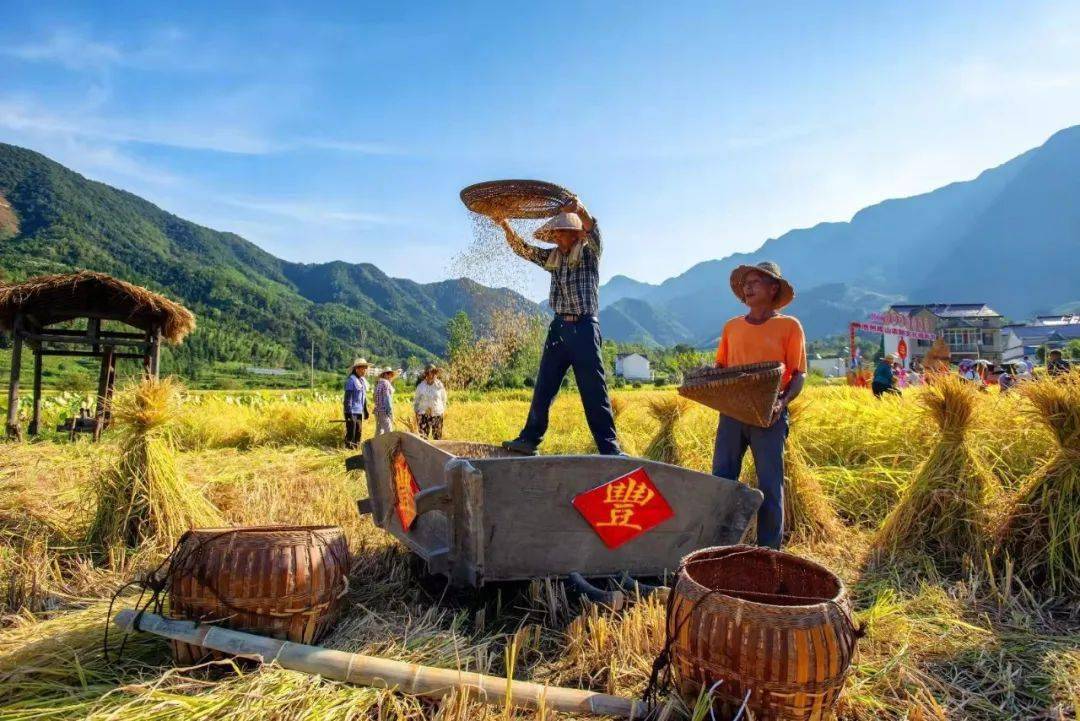 战疫不误农时奏响农业强农民富农村美三部曲575