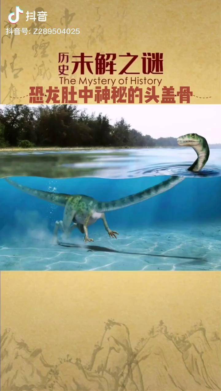 恐龙肚子中发现神秘头盖骨形状与人类十分相似他会是谁我是头条小百科
