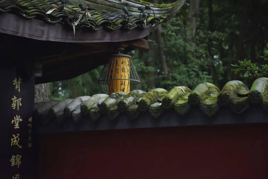 杜甫|一代棋圣再临诗圣故居，中日韩围棋大师明天落子草堂！