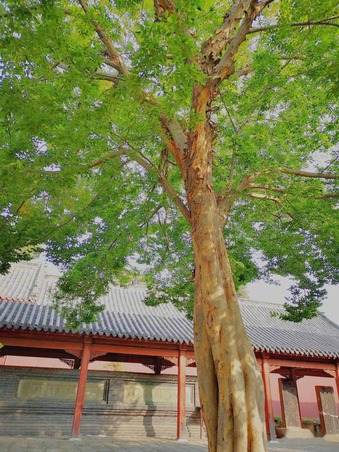 岱庙秋赋