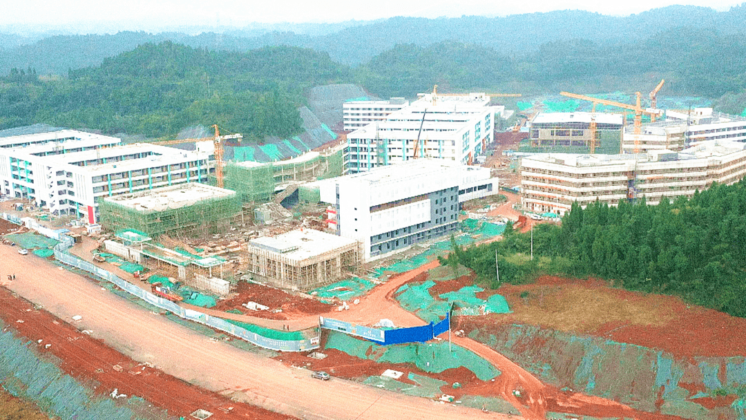 遂宁中学高新校区图片