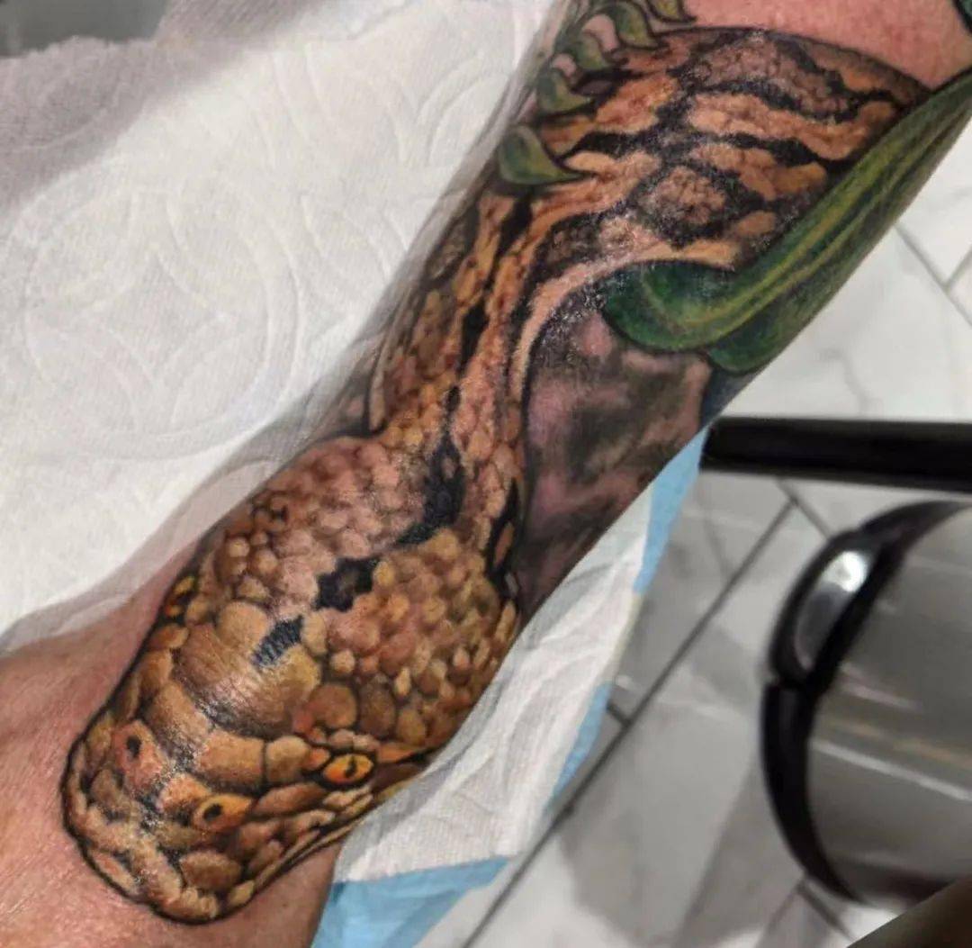 巨大的蟒蛇纹身