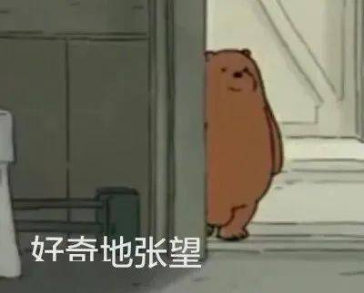 df88ff9ed32d43a496ea117cf40a4975.jpeg