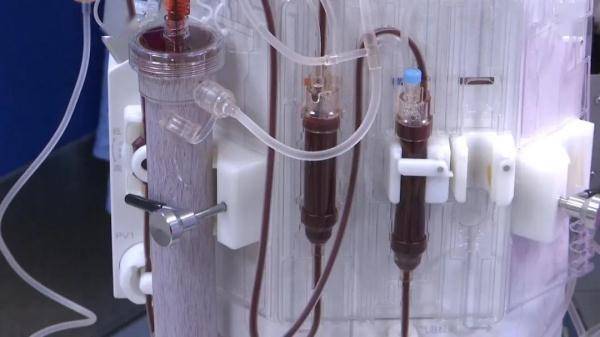 草乌|呕吐、腹泻、胸闷、浑身无力...煮食附子中毒入院，医生建议：食用这些药材需谨慎！