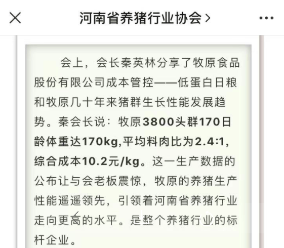 惊牧原综合成本51元斤低行情持续5年养猪户连续亏损3个月给予一次性