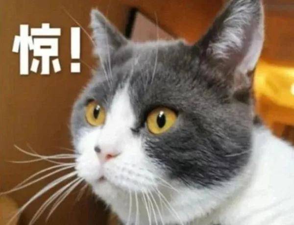 成人高|才5岁！福州男童体内居然长出结石