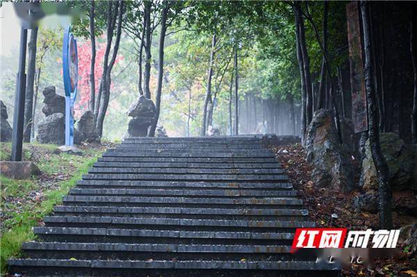 石亭|湖南蓝山：雾漫夔龙山