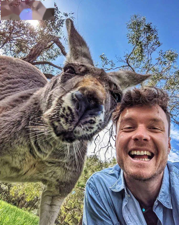 和所有的小动物自拍这也太太太开心了吧