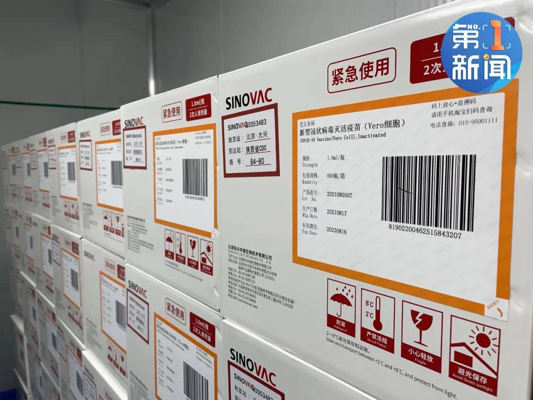 免疫|陕西启动3-11岁人群新冠病毒疫苗接种！12月底前完成两剂次接种！