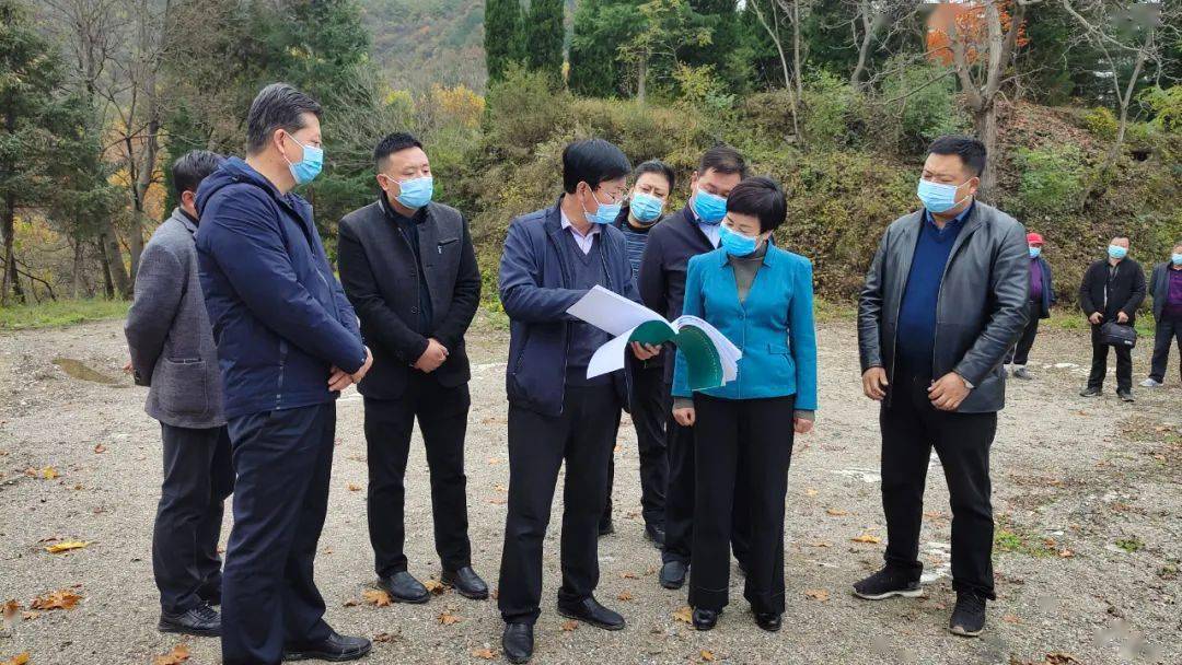 武冰一行先后深入西坡镇东坡村疫情防控检查点,张果