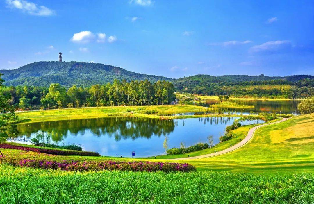 镇委书记在干啥76郁南县都城镇聚焦六地发力打造绿色gdp