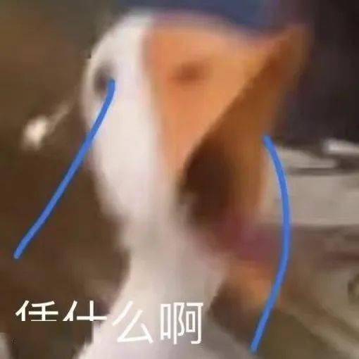 網曝楊冪戀上19歲富二代？？網友吃驚：姐姐的快樂確實酸了… 搞笑整蠱 第32张