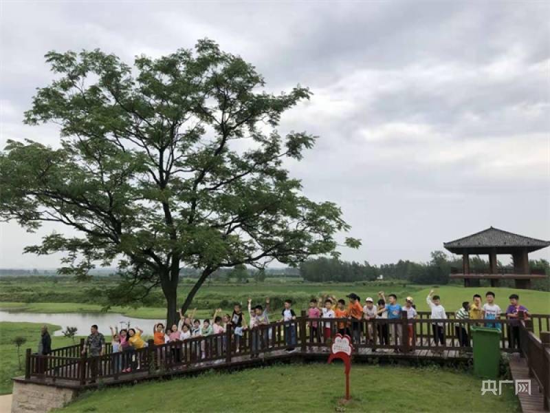 乡村|信阳市平桥区：统筹城乡发展 奏响幸福乐曲