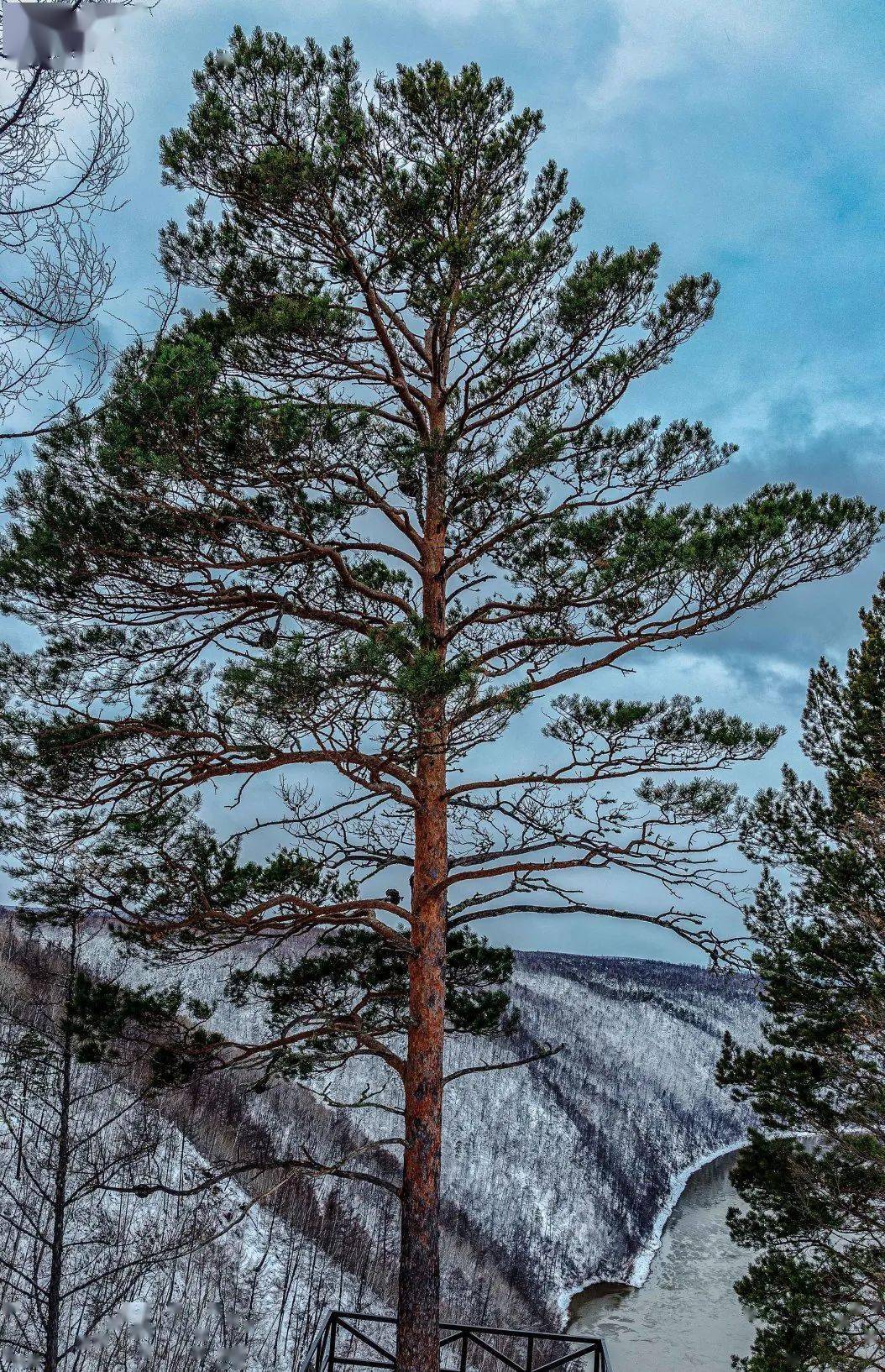 南来北往 | 十一月即将启动,来大兴安岭参加冰雪旅游,你准备好了吗?