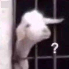 扮演者《曼达洛人》衍生剧首曝预告;87版红楼梦贾蓉扮演者逝世