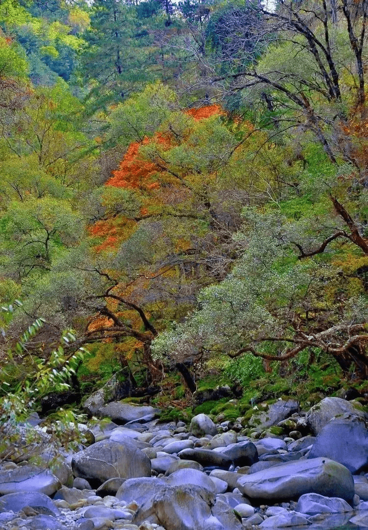 小城|汉中这个山水小城，邀您秋游入画！