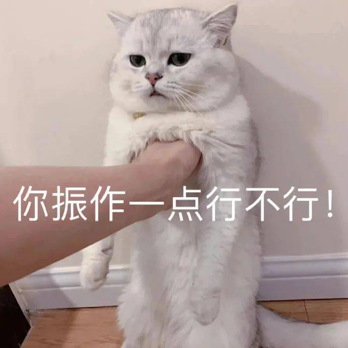 「情侶合照竟然被當場…」看完評論想要談戀愛了！ 搞笑整蠱 第2张