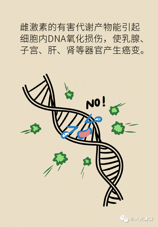小心藏在身边的乳腺癌致癌物雌激素