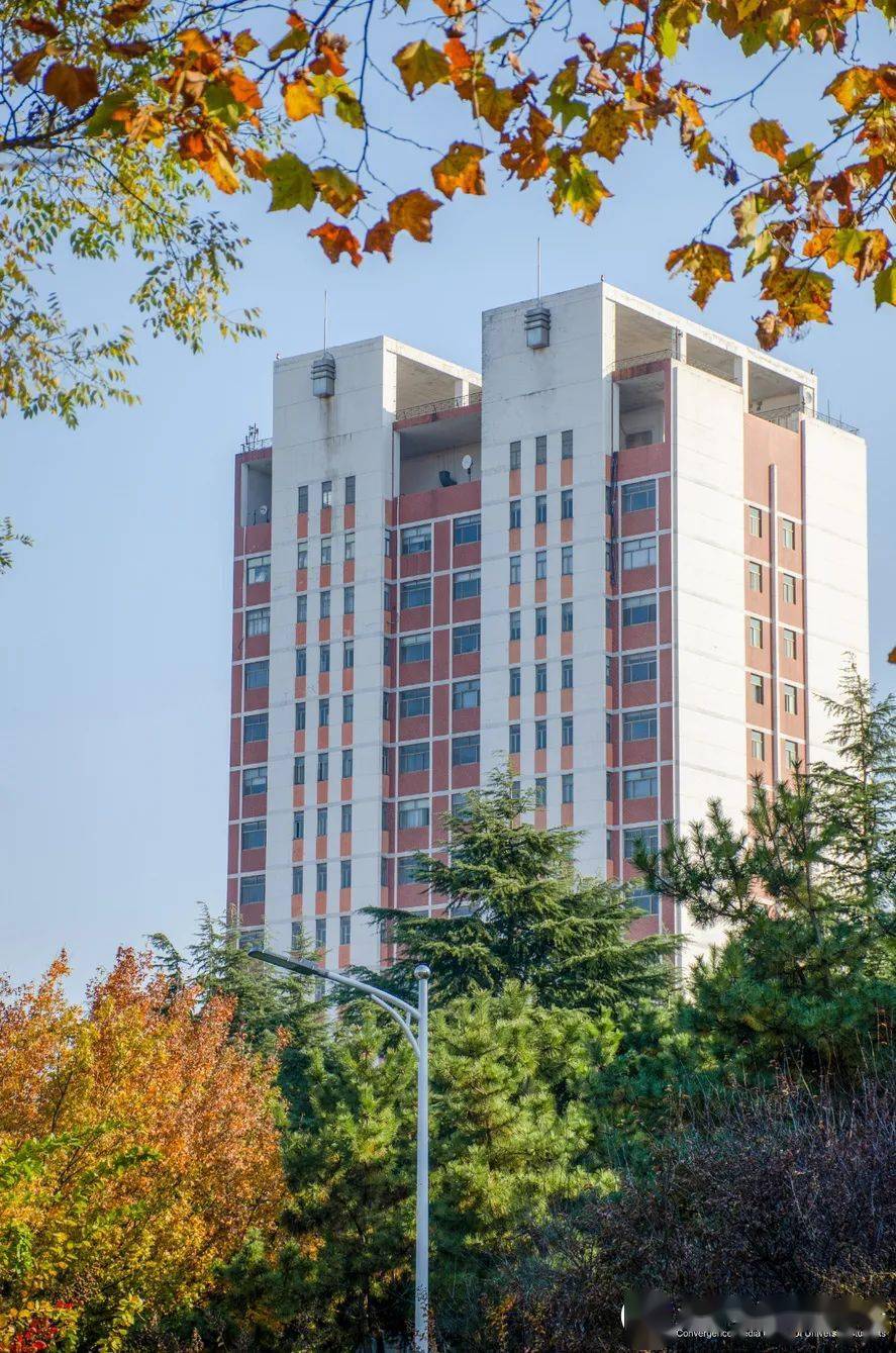 来青岛农业大学的秋天寻找你的颜色