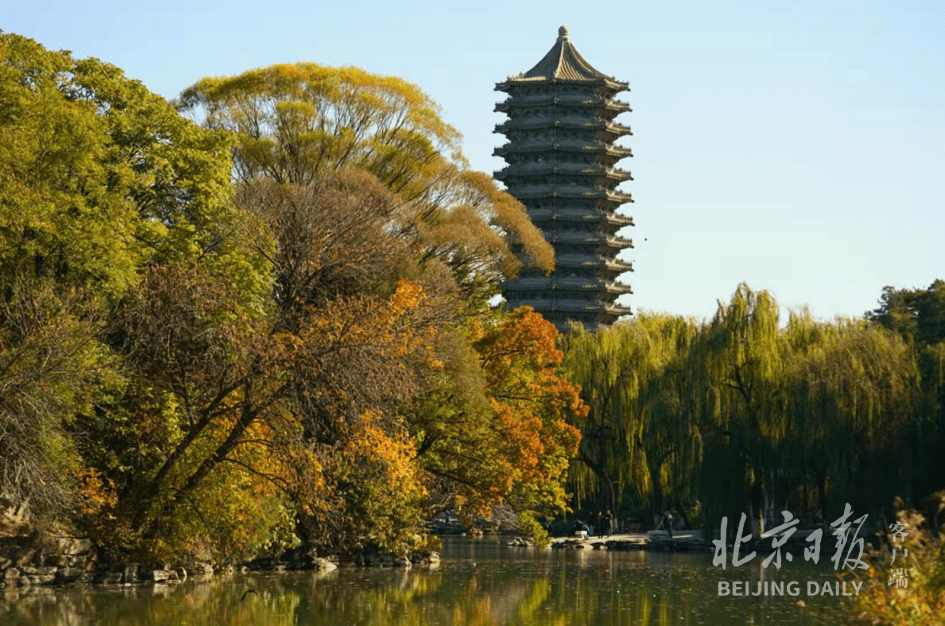 韵律|美图｜秋风染燕园！深秋的脉搏在五彩斑斓间跃动