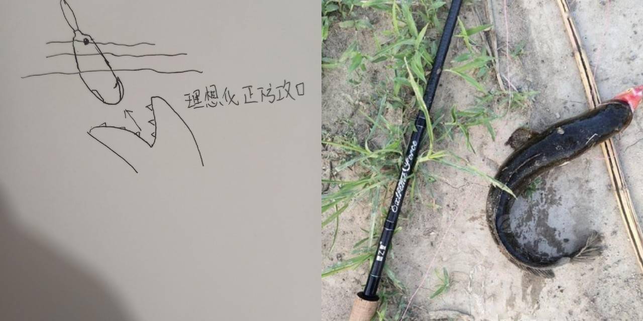 雷强钓法打假篇新手以及传道受业的大师