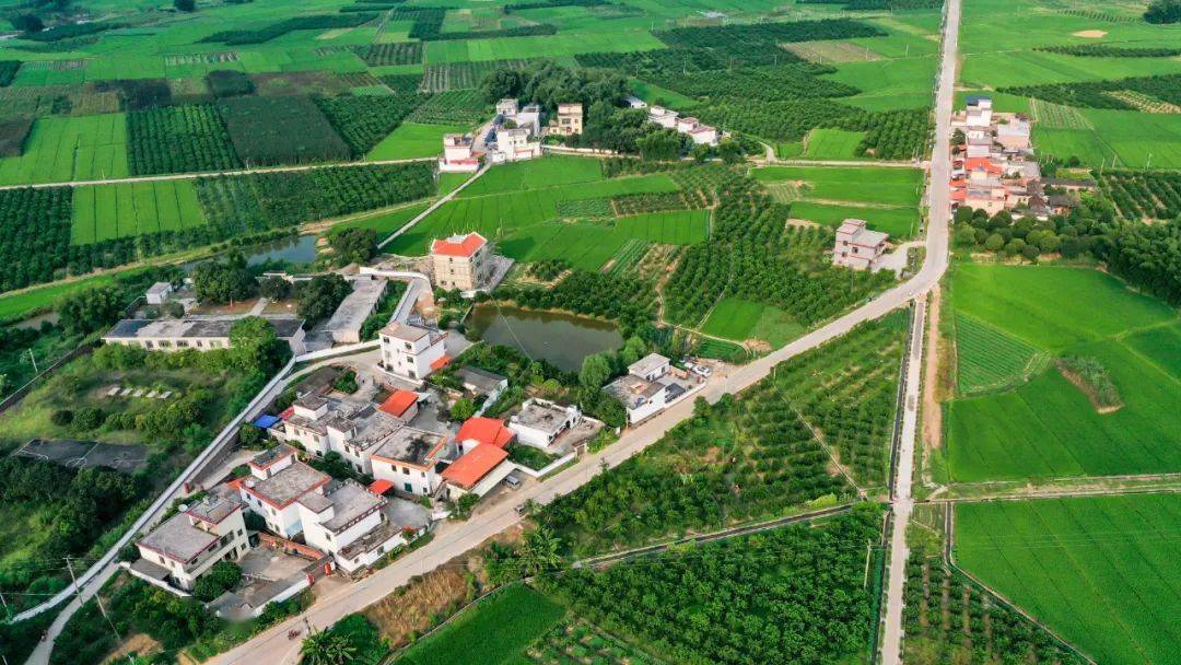 新龙村位于仁化县董塘镇东南部七公里处,是1969年从乳源县南水水库