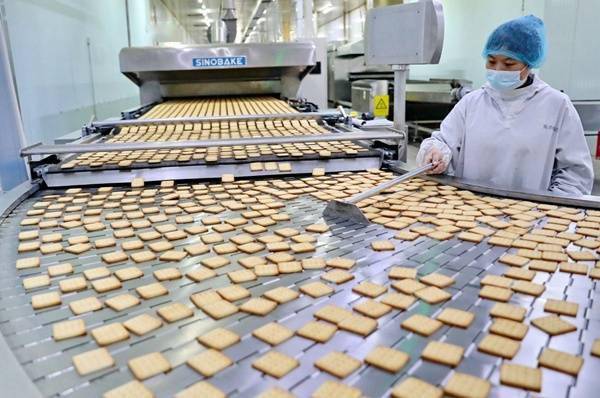 海港经济开发区的秦皇岛海洋食品有限公司组织工人加紧生产压缩饼干