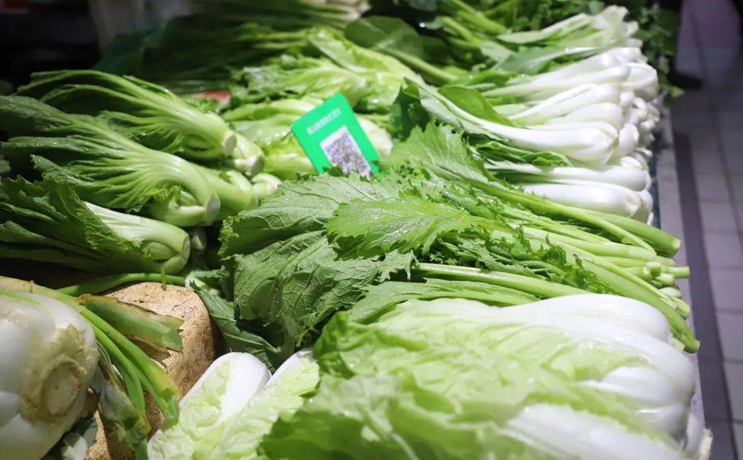 北海蔬菜市场价格冲高回落_香菜