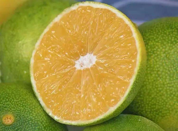 67云南绿皮冰糖橙,颜值超高,口感超甜,不信尝一口_橙子