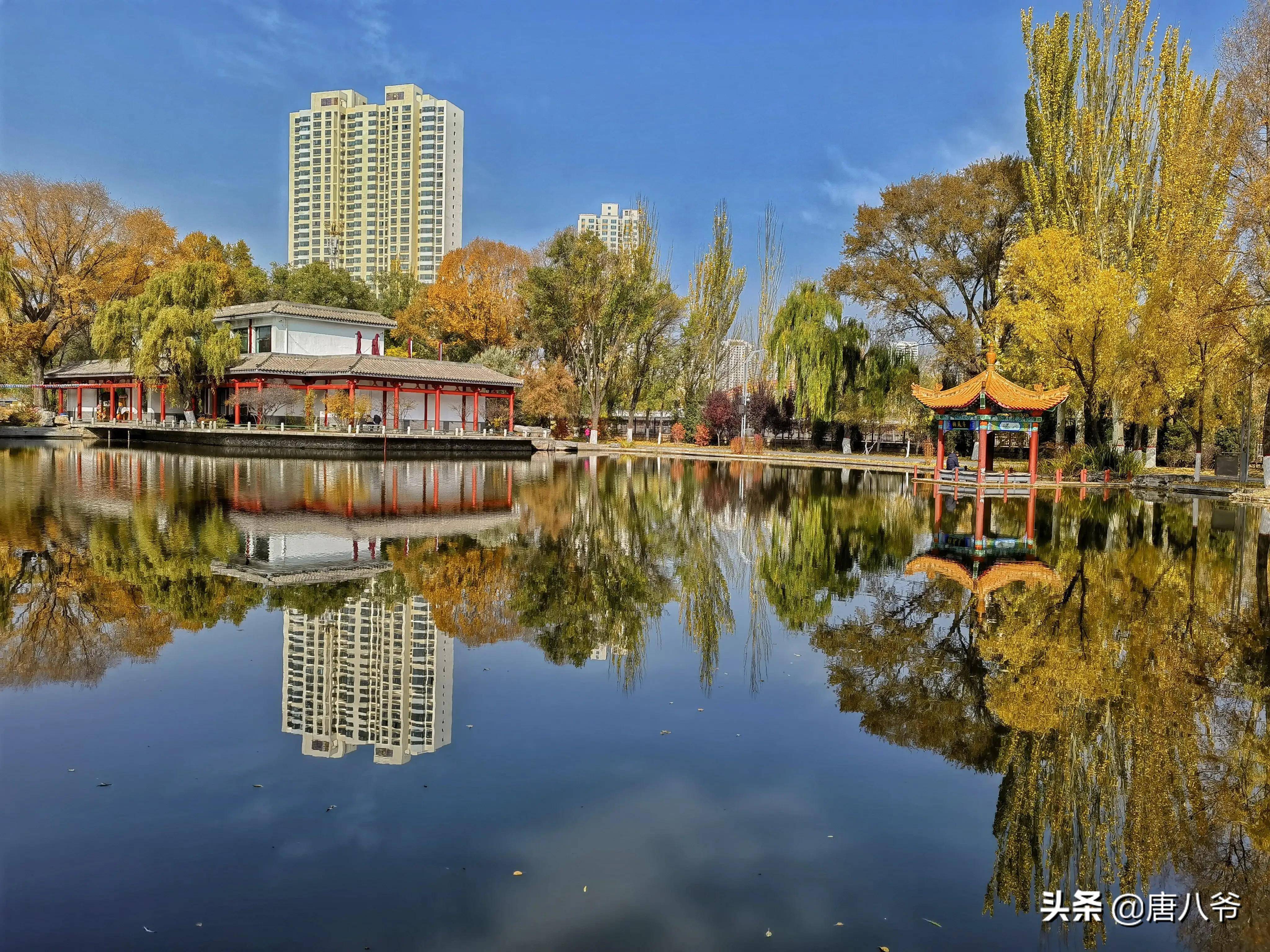 西寧人民公園秋日的美景很美_蔚藍色