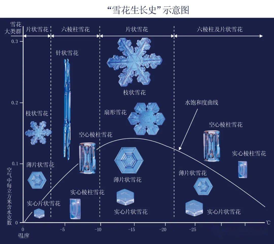 北京今冬初雪来了那么中国的最美雪花在哪里