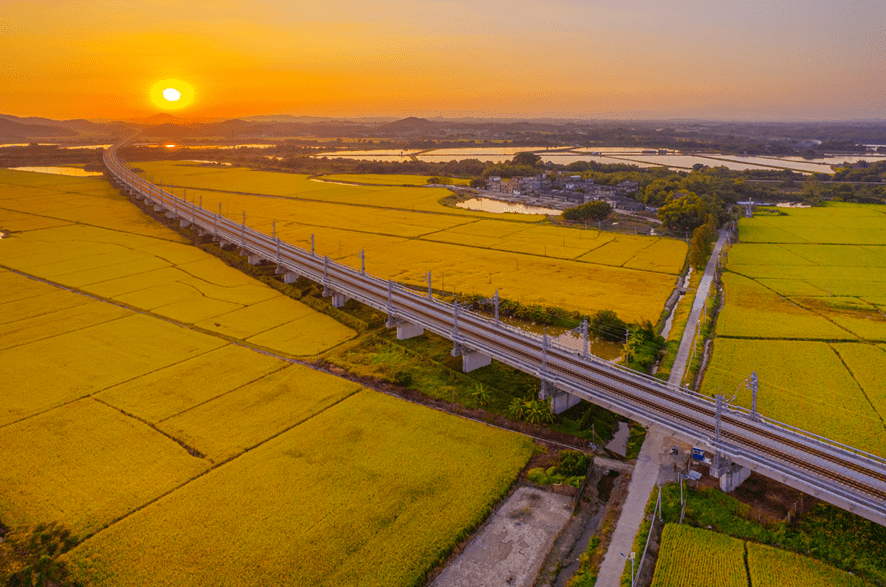 伟宗江门，处处好“丰”景！