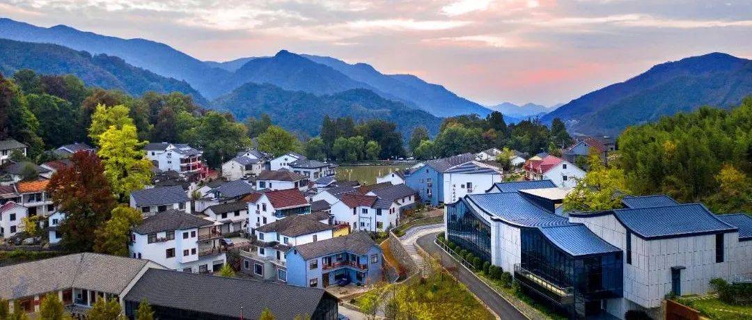 临安又一村成为全国乡村治理示范村_南村