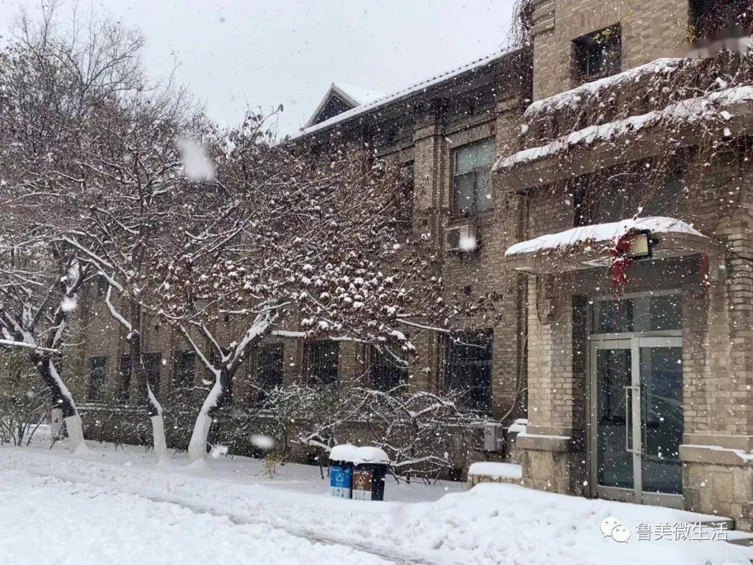 沈阳校区 | 快来领取鲁美专属白色限定啦