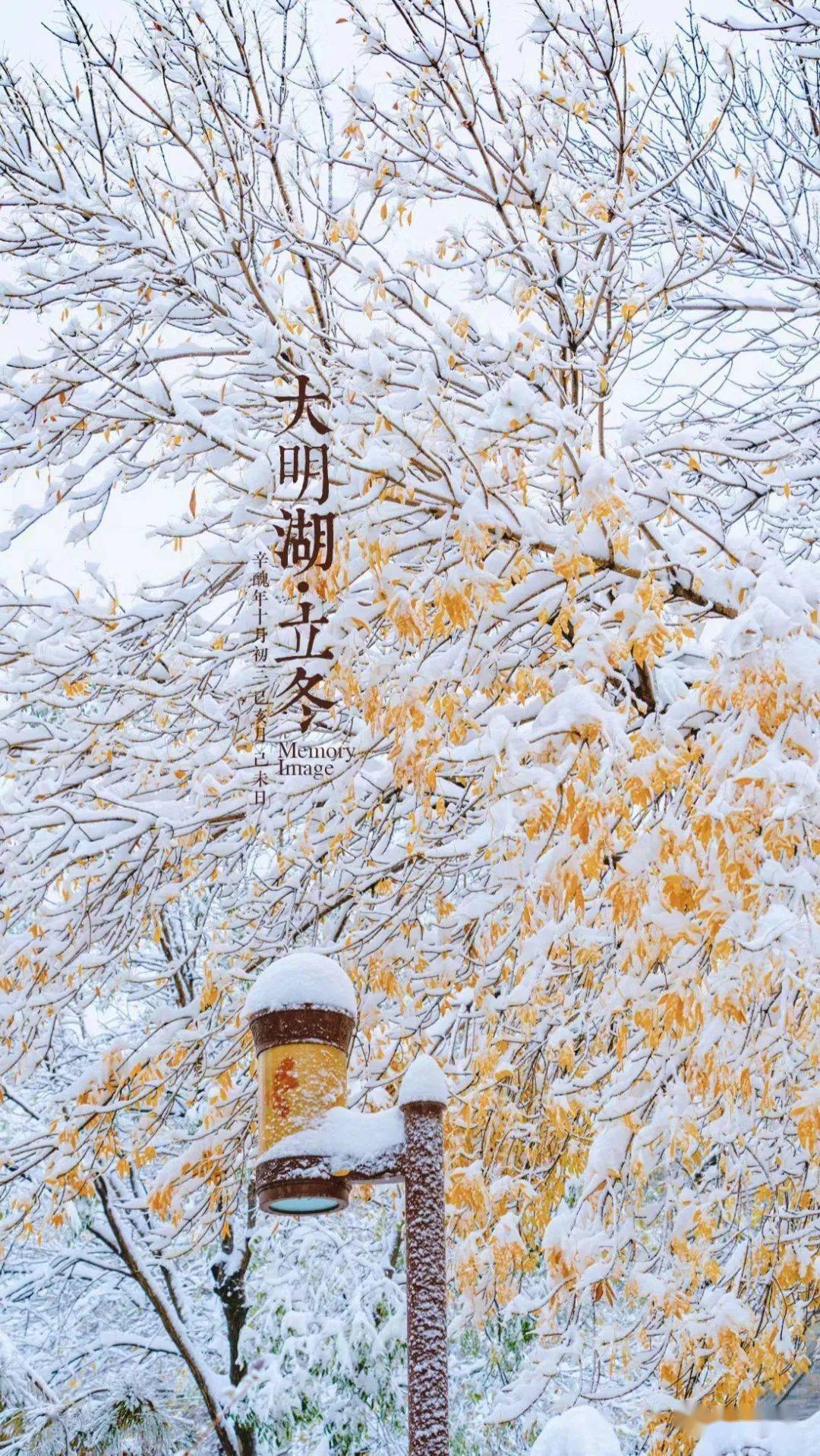 网友|济南雪景美上热搜!网友:一下雪,济南就成了济南府