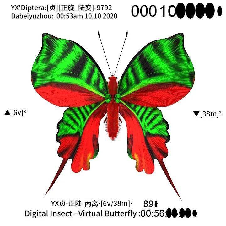 蝴蝶|他用计算机造佛，花2年造100万蝴蝶：如果不玩游戏，就没有今天