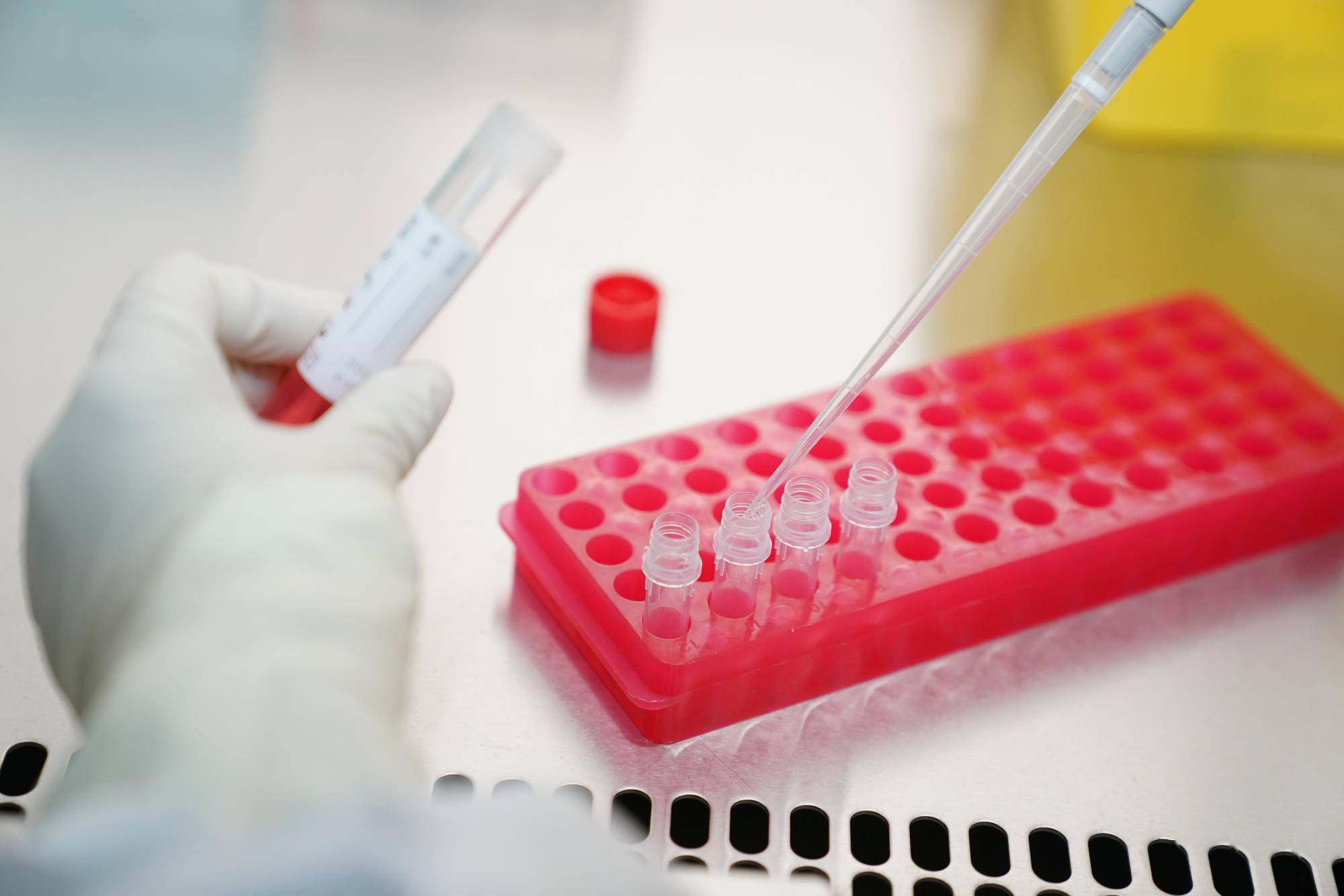 隔离|河北深泽县新增1例确诊病例轨迹公布：曾去辛集市赶集