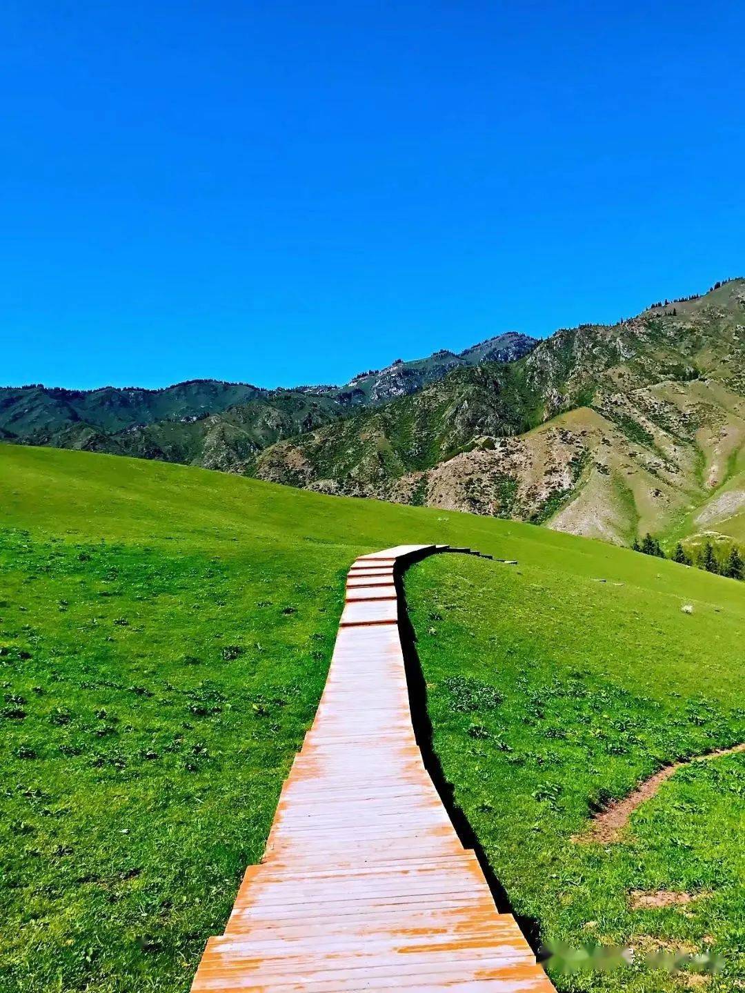 乌鲁木齐周边自驾好去处--哈熊沟_天山北坡